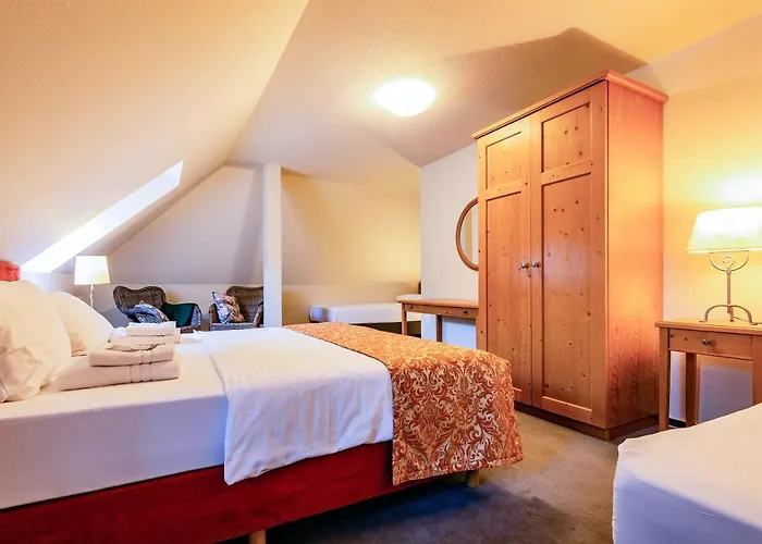Apparthotel Bad Schandau By Steiger Hotels